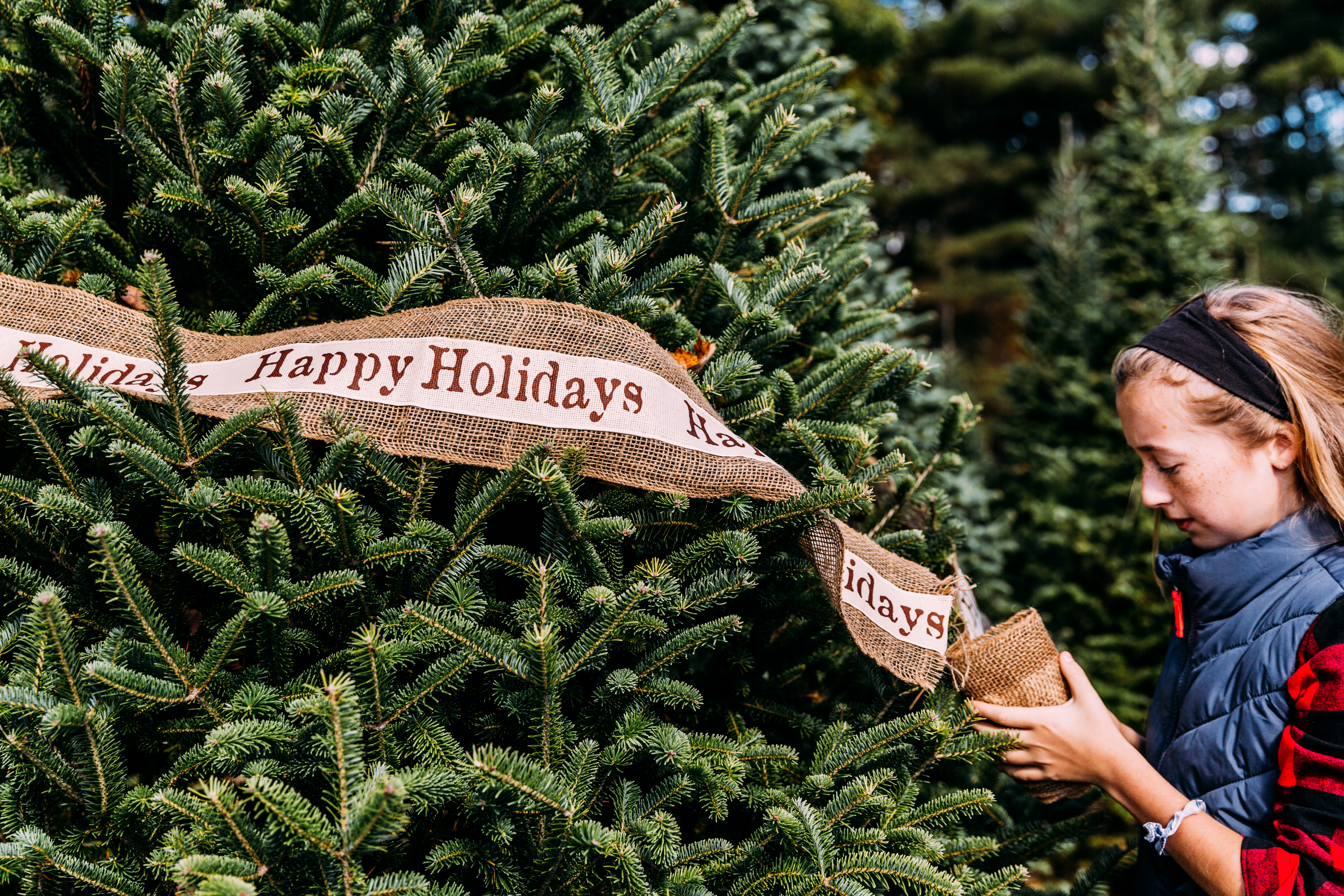 Happy Holidays banner on Christmas tree